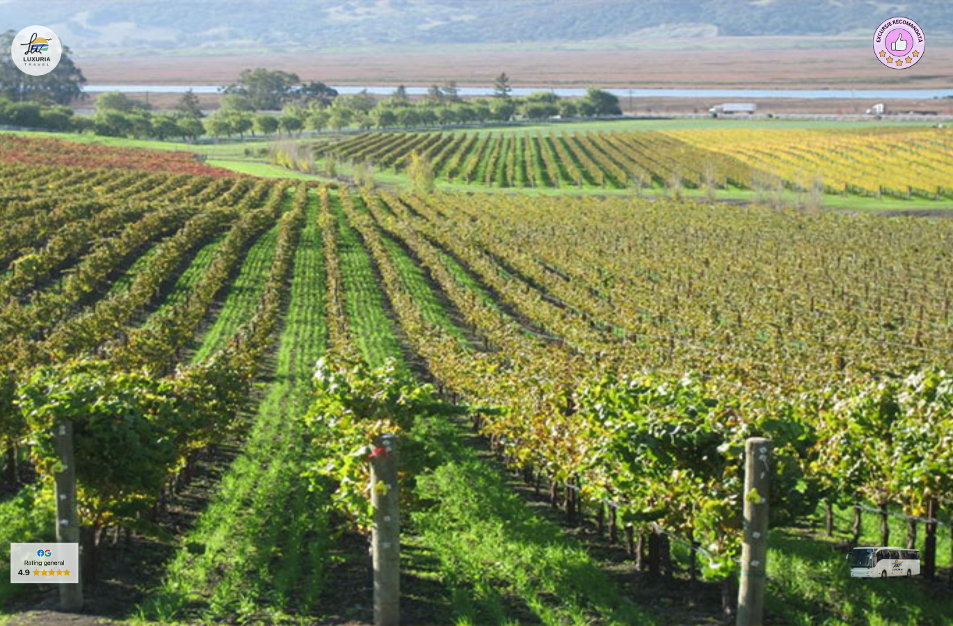 Excursie de o zi in Podgoria Murfatlar – vin, traditie si povesti dobrogene - foto 3