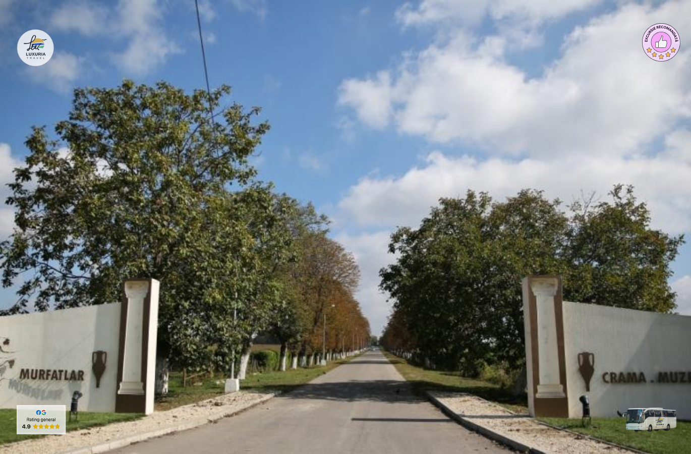 Excursie de o zi in Podgoria Murfatlar – vin, traditie si povesti dobrogene - foto 4