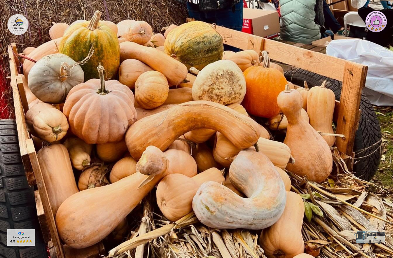 Excursie 1 zi Festivalul Dovleacului din Sevlievo - foto 4