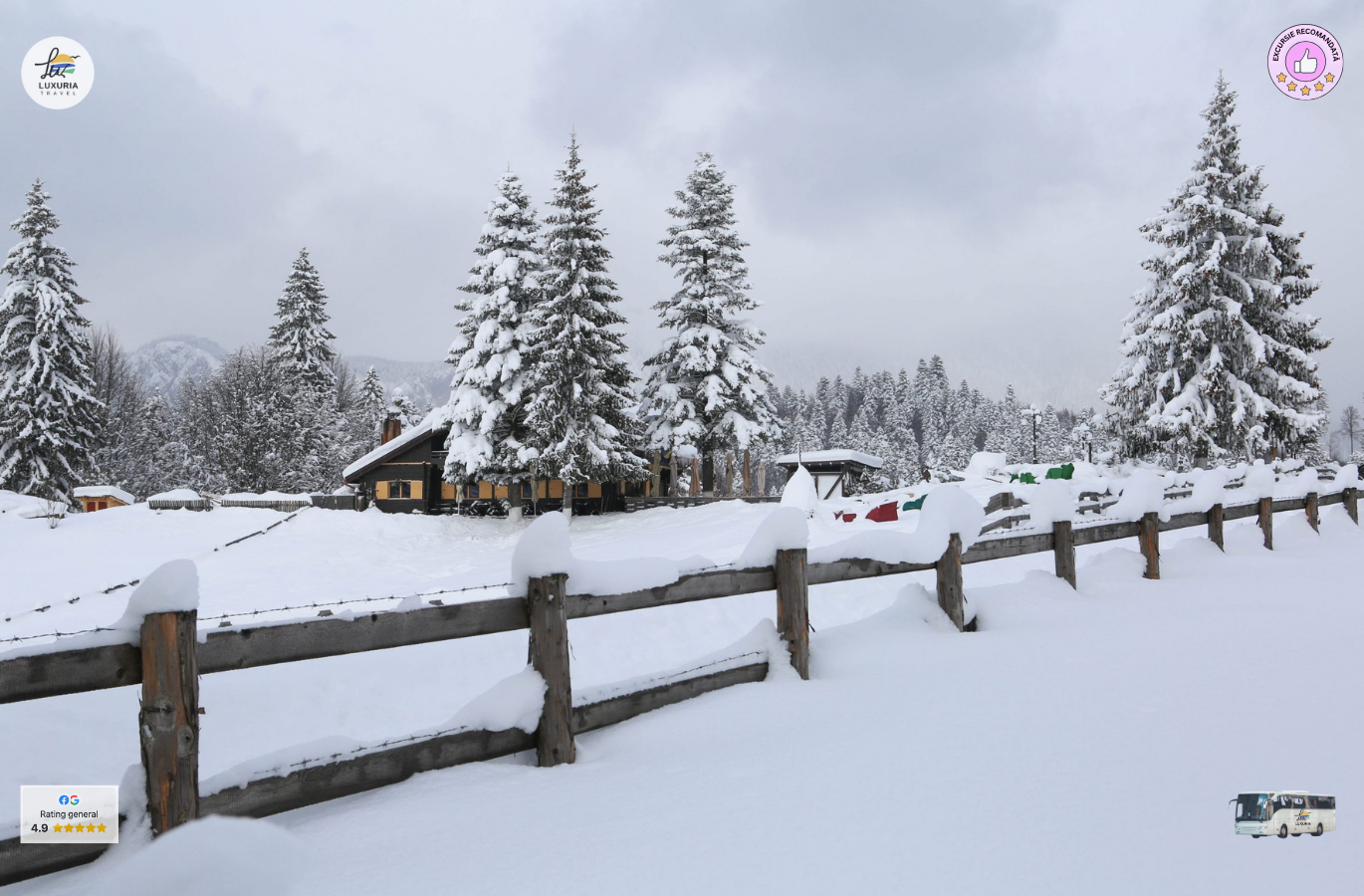 1-Day Trip Mountain Walk to Trei Brazi Cabin and Poiana Secuilor Cabin - foto 2
