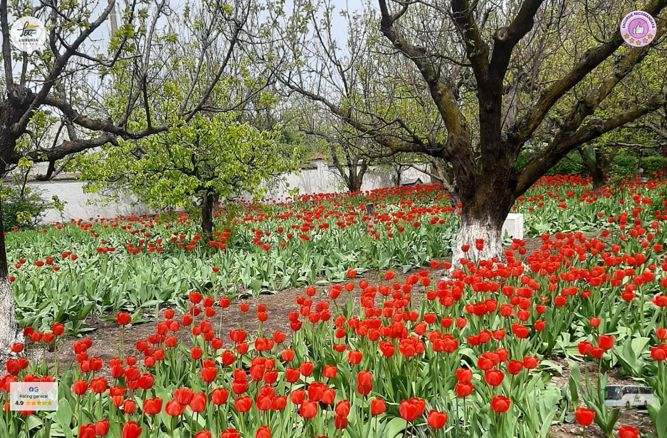 Excursie 1 zi Sarbatorim Sfintii Mihail si Gavril  - foto 3