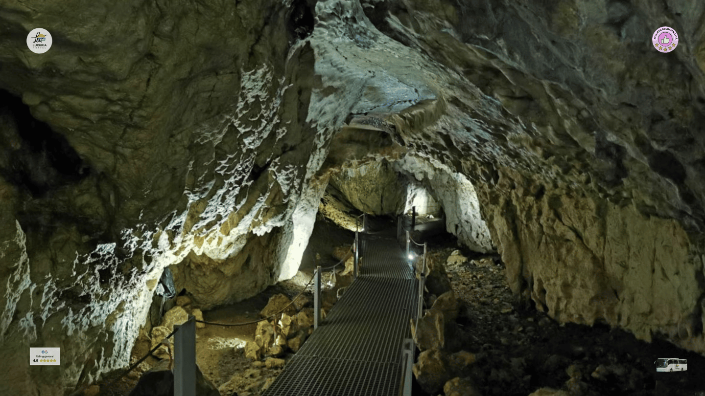 Excursie 1 zi Sanius la Poiana Brasov - foto 1