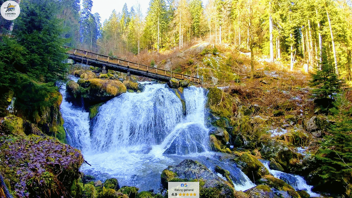 Circuit Elvetia, Germania si Franta de Rusalii - foto 7