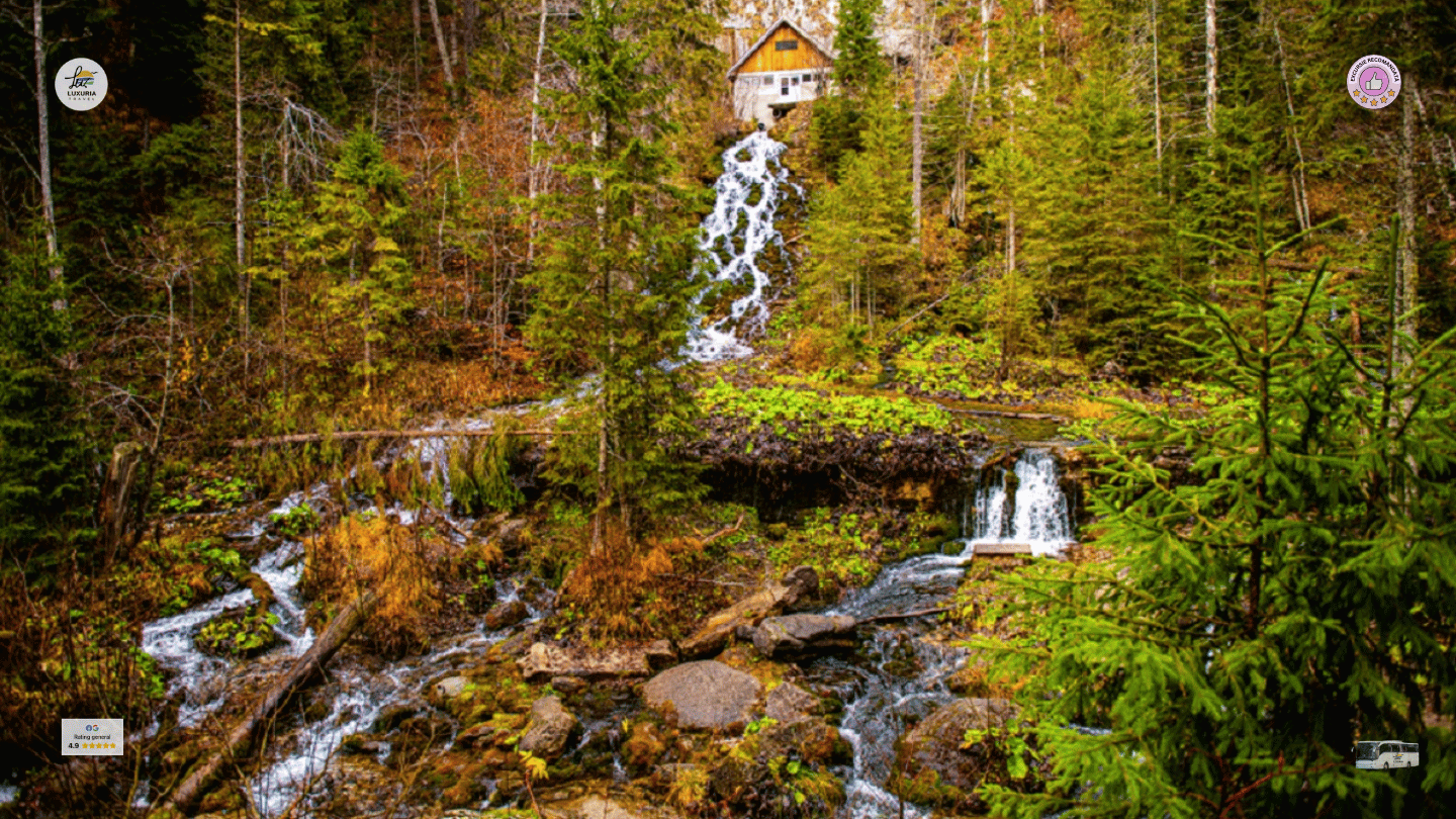 Excursie 1 zi Aventura cu Masini 4x4 in Sinaia - Cascada 7 Izvoare - foto 2