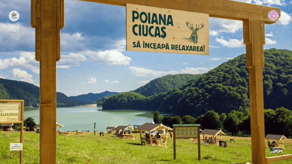 Excursie 1 zi Gradina de Lavanda - Lacul Paltinu - foto 4