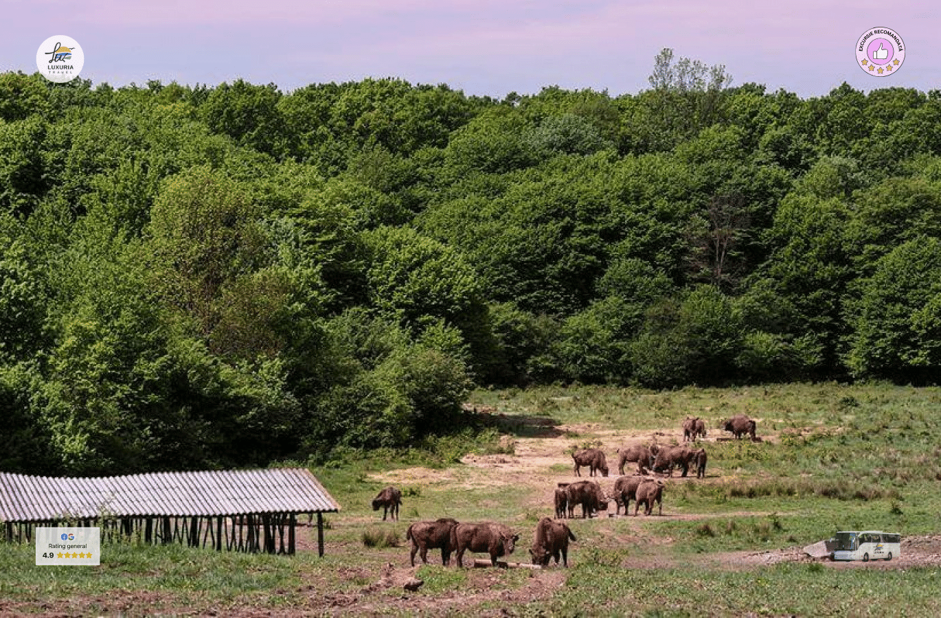 Excursie 1 zi la Zimbraria Neagra, Manastirea Dealu, Turnul Chindiei si Muzeul Tiparului - foto 2