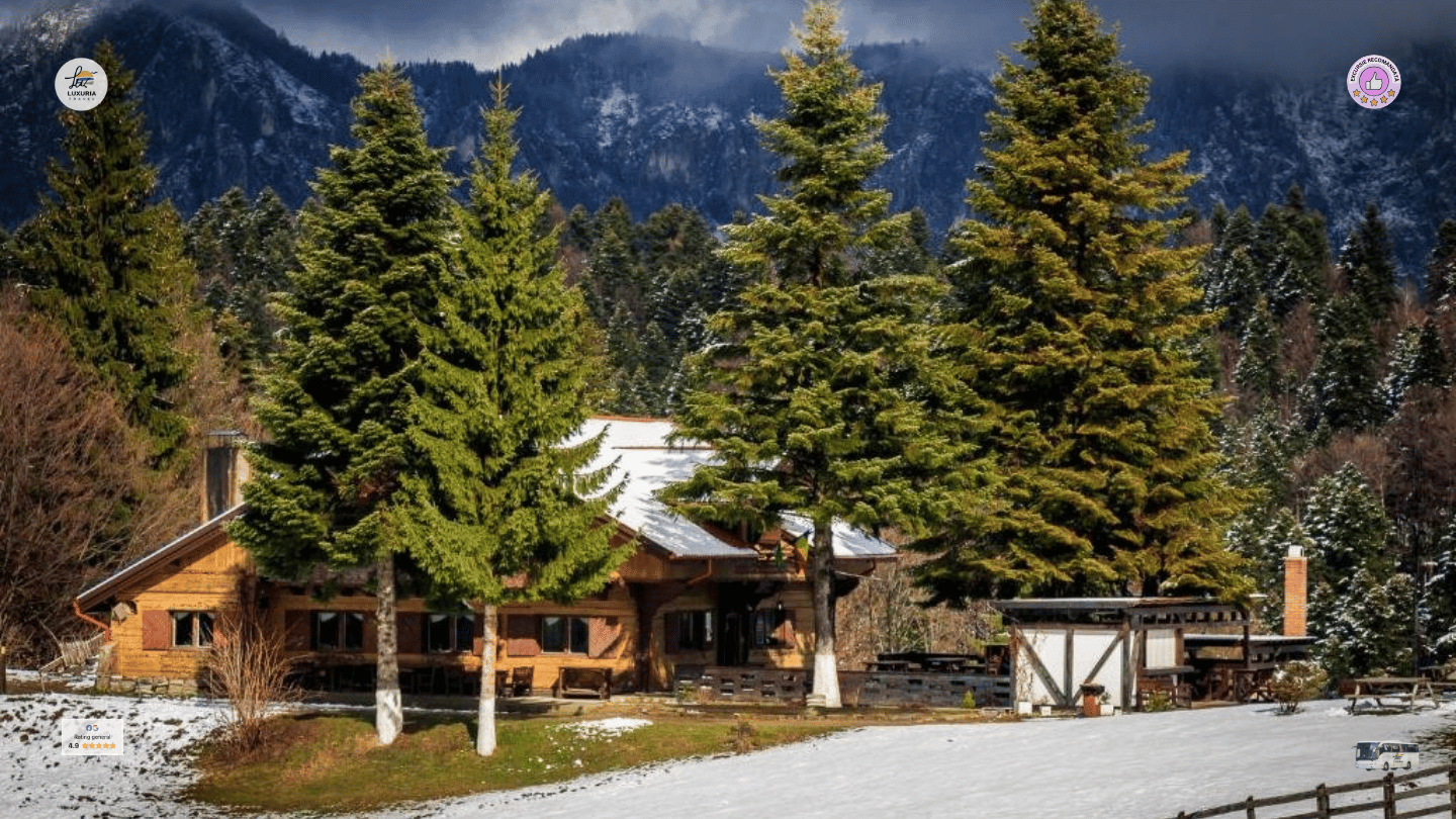 Excursie 1 zi Plimbare Montana la Cabana Trei Brazi si Cabana Poiana Secuilor - foto 3