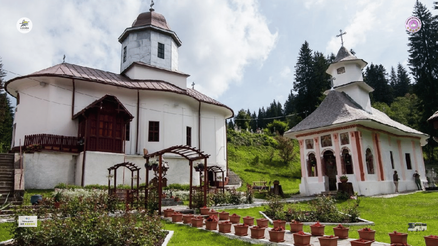 Excursie 1 zi Plimbare Montana la Cabana Trei Brazi si Cabana Poiana Secuilor - foto 4
