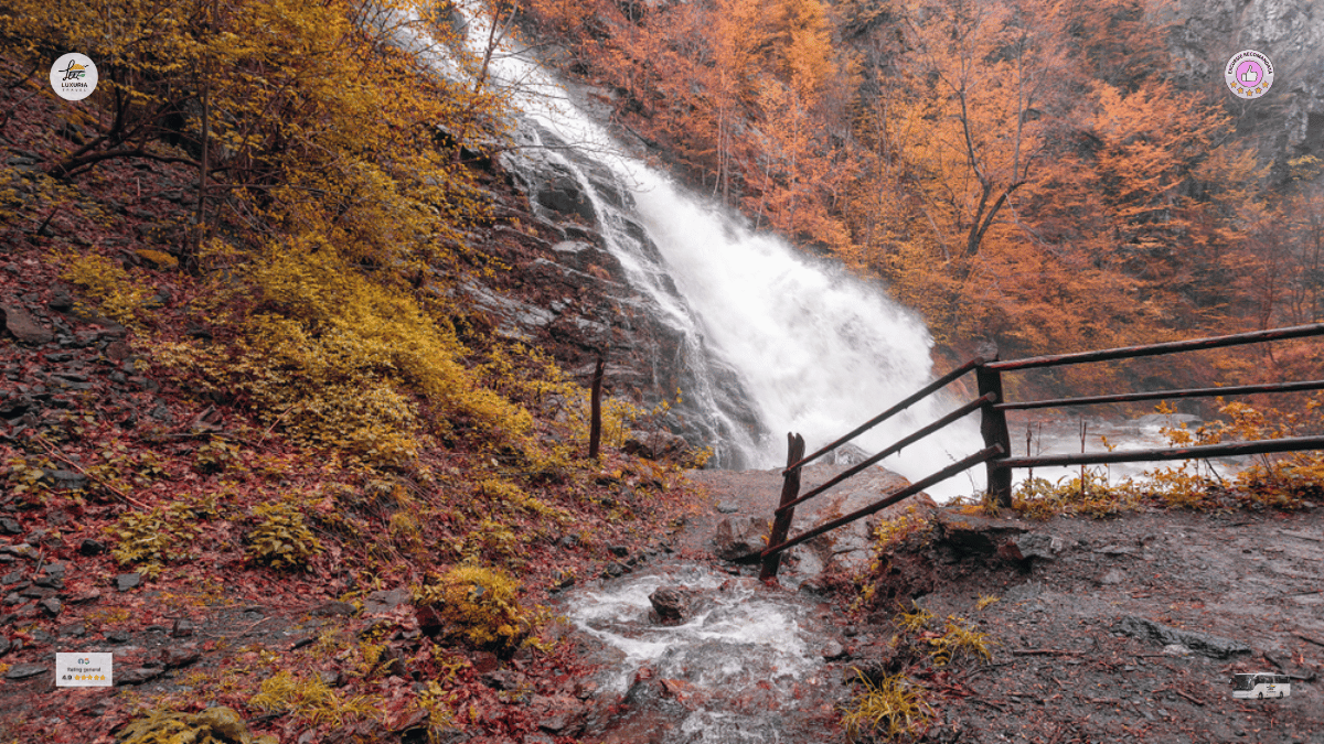 Excursie 1 zi Relaxare pe Valea Oltului - foto 2