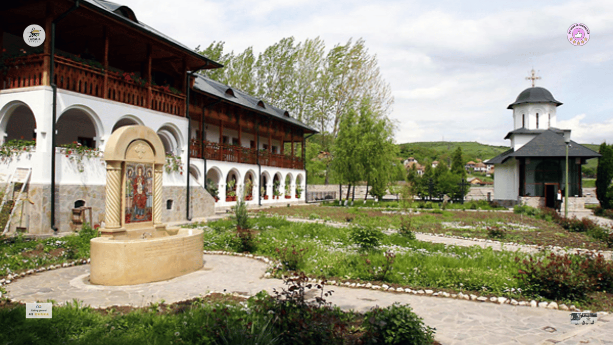 Excursie 1 zi Relaxare pe Valea Oltului - foto 4