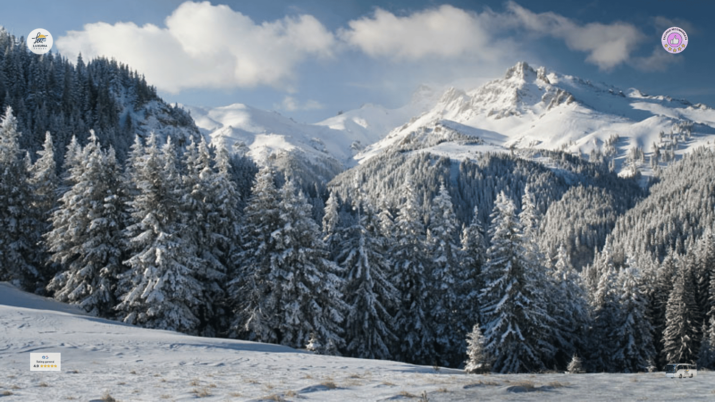 Excursie 1 zi Valenii de Munte - Cheia - foto 4